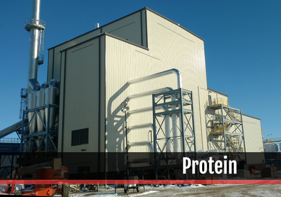 Fagen, Inc.'s experience in the Protein industry.